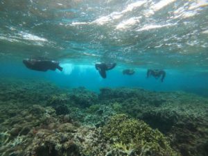 午前は荒波体験シュノーケリング！午後から無敵の干潮時間！スキンダイビングで岩に同化！