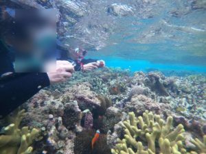 しとしと雨続く石垣島！でもシュノーケリングはいつも通り♪