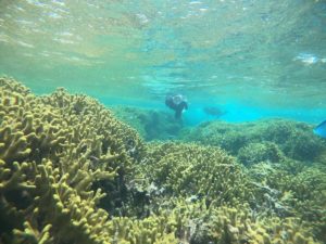 ご妊娠5か月のお母さんは初石垣島、初シュノーケリング！