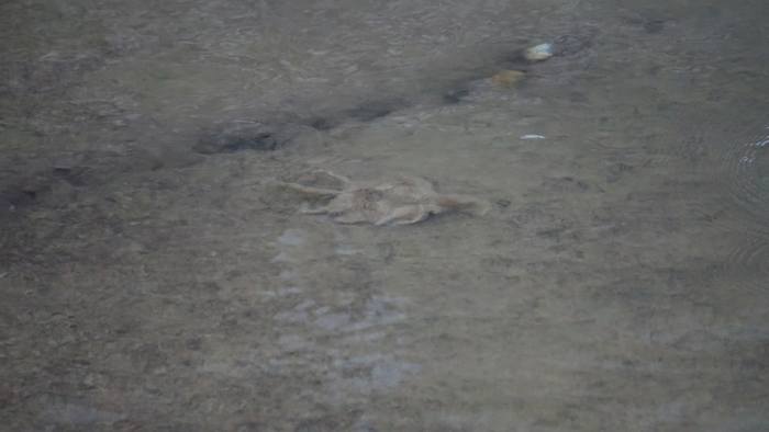 港のスロープ。