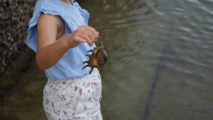 クモガイさんでした