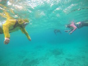 海を楽しみたい気持ちに年齢は関係ありません！御年72歳！お母さんも楽しんだシュノーケル