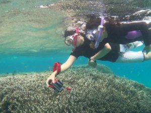 ちびっこシュノーケリング！ステップアップで独り立ち♪