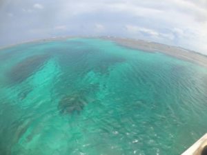 初めての「凪」の海！劇的変化を楽しんだ干潮時間。二人でスキンダイビング♪