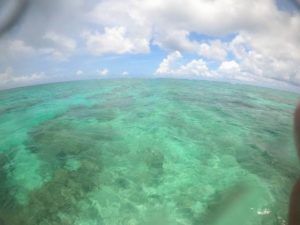 夏空、夏海、夏景色！石垣島は今日もシュノーケリング日和♪