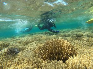 午前荒波体験！午後からは穏やかな海！