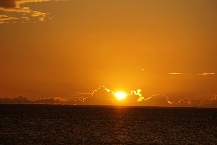 今日も一日が始まります！