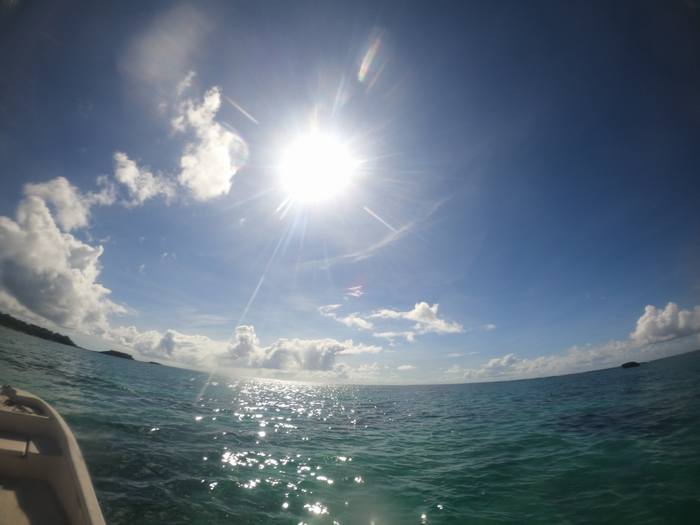 ぎらぎら太陽、今日も健在