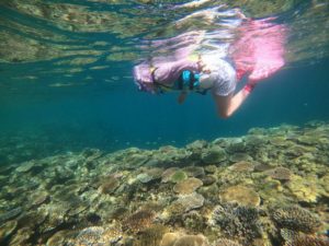 春休みの次は夏休み♪夏を満喫シュノーケリング！
