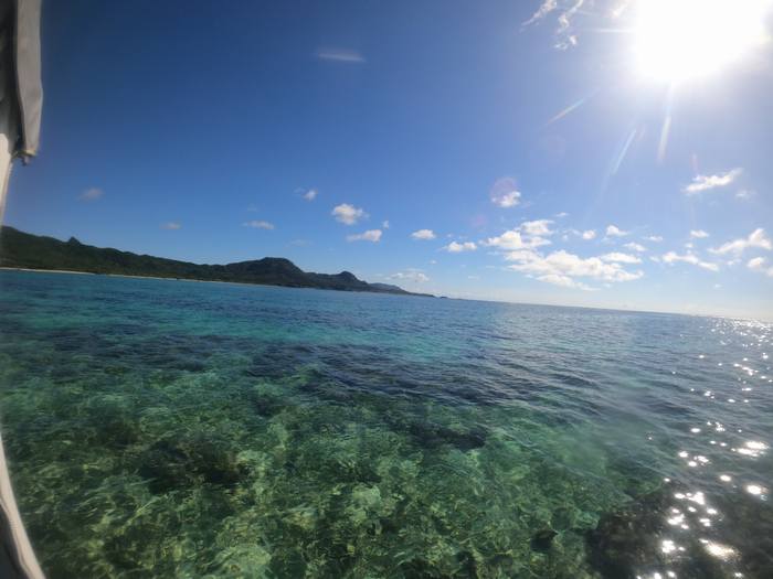 絶好調のコンディションです