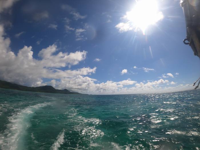 ぎらぎら太陽さんの登場です