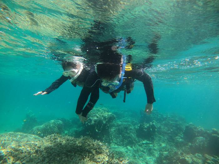 リピーターN谷さんとT本さん