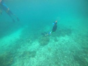ドボンと潜ってびよーん♪と浮上♪浮遊感を楽しんだツアー