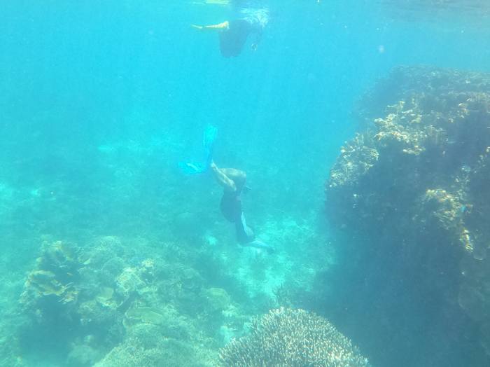 旦那さんも素潜りドボン