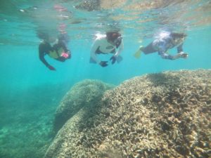 穏やかすぎる海に晴れの石垣島！ゆったり楽しだシュノーケリング