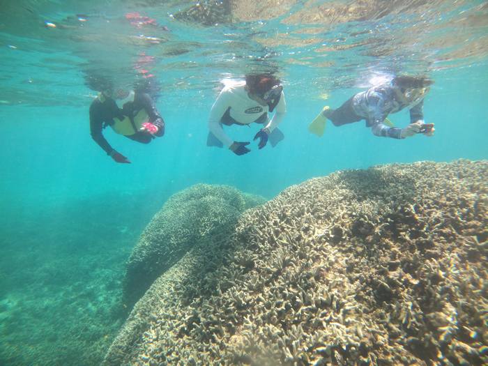 K田さんご夫婦と二日連続ご参加のK古さんです♪