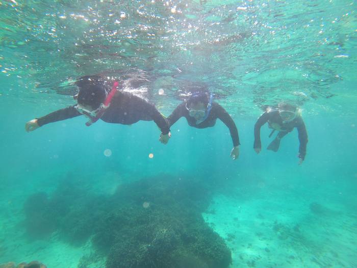 ゆったり泳いでいきます