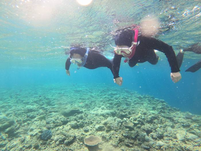 サンゴを楽しんでいらっしゃるH近さん