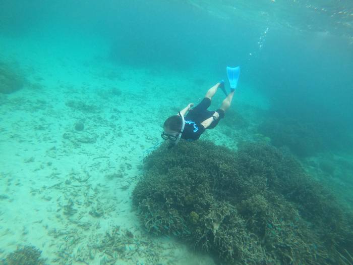 素潜りドボンです