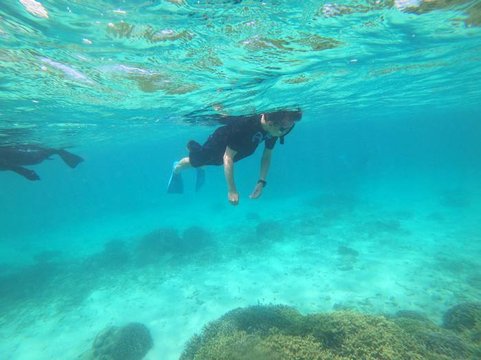 ベテランのいでたちです