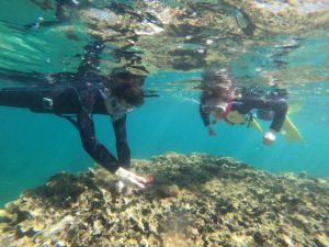 婚前旅行で幸せをおすそわけ！海に潜れる喜び感じる素潜りドボンツアー