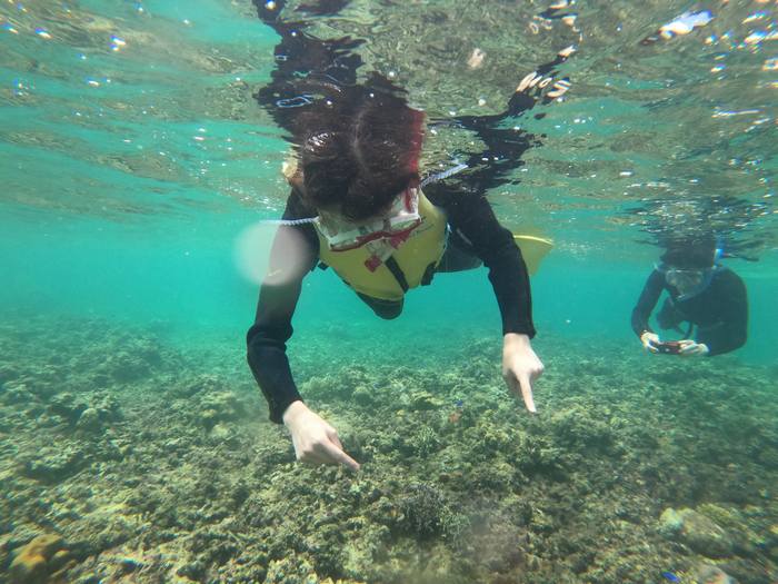 クマノミさんを見つけて指さしています。