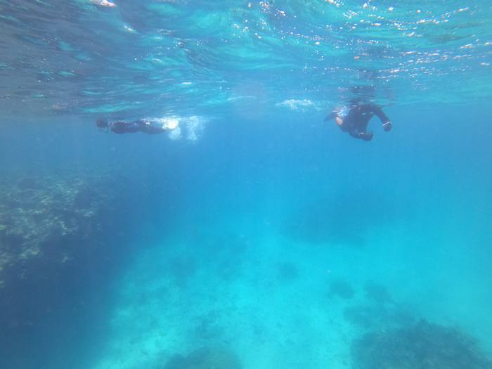 リピーターK合さんとO谷さん