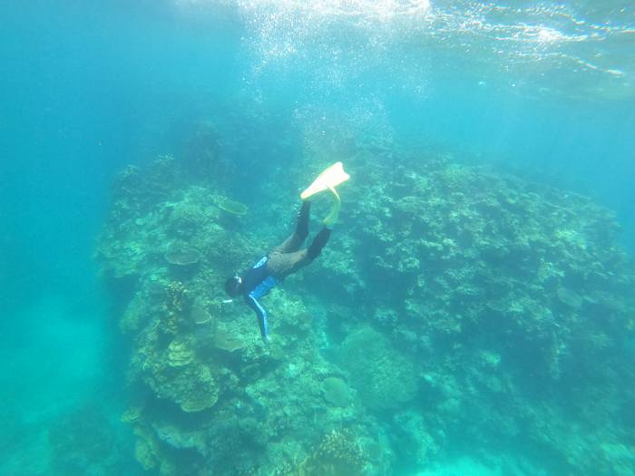 海女さん！です