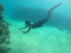 石垣島旅行、最終日も初日もやっぱりシュノーケリング♪