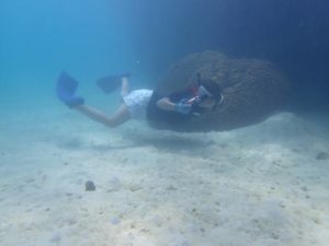 スタイルは体育座り派、エラ呼吸派、空腹素潜り！サンゴがだん、だん、だん！