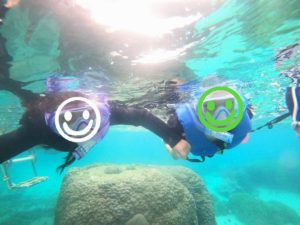 子供楽しめば大人も楽しい！石垣島を満喫シュノーケル！