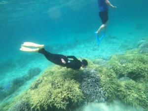 リクエストは素潜りドボン！石垣島の水中世界を満喫シュノーケリング！