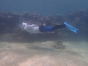 夏雲の登場！プールのような海！シュノーケリング日和は続きます！