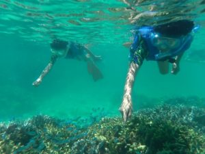 お腹がすいた！それは楽しんだ証拠♪サンゴとお魚楽しんだシュノーケルツアー♪