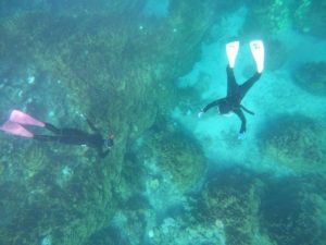 石垣島旅行、最終日はやっぱりシュノーケリング♪