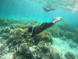 潜れば潜るだけ宿題がいっぱい！これ石垣島の海の奥深さです♪