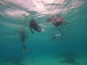 風強い！いえ、だからこそ透明度抜群の水中世界♪