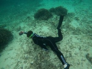 ツアー開催は予報だけで判断しない！素潜りドボンで写真撮影に没頭ツアー！