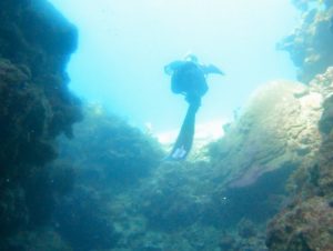トンネルをスキンダイビング！ドボンドボン素潜りドボン♪
