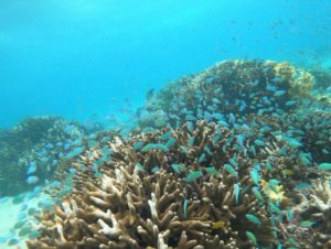 ベテランさんにはベテランさんの楽しみ方♪