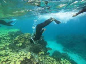 3年ぶりの石垣島、3年ぶりのシュノーケリング！午後の半日ツアーでブランク解消！