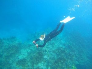 ベテランさんとシュノーケリング！波あれど恐れることあらず！