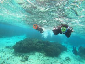 冬休みは石垣島でシュノーケリング！北風吹けば透明度抜群です！