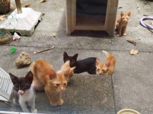 2022年の振り返り♪さんご礁の海からの重大ニュース！