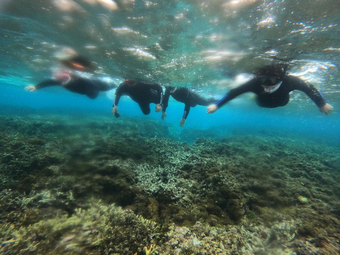 リピーターM永さんとG味さん