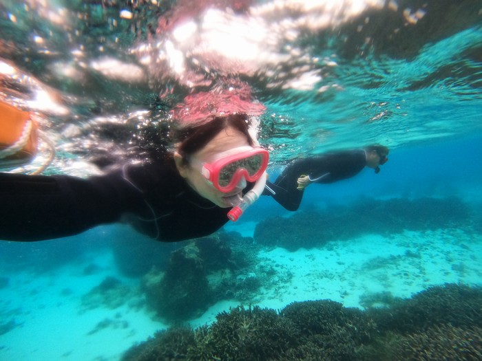 もうベテランさんです