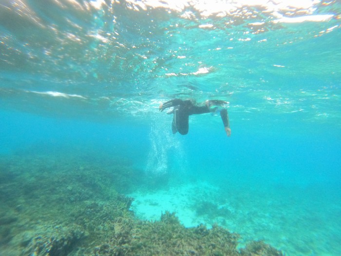 初シュノーケリングでも楽しめる！