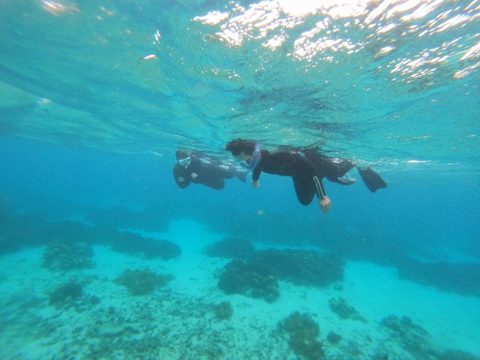 リピーターS上さんとK堅さん