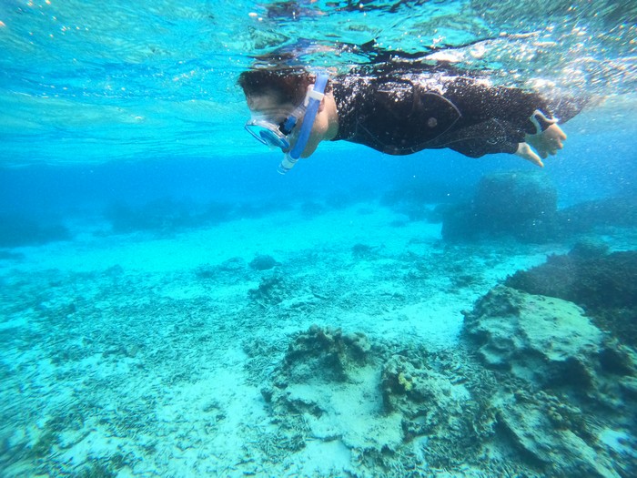 お父さん軽やかにシュノーケリング
