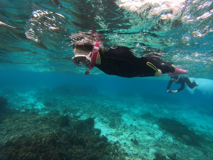 初シュノーケリング、楽しみ始めています。